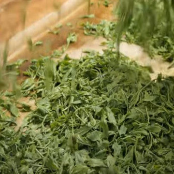 The Tea Production Process