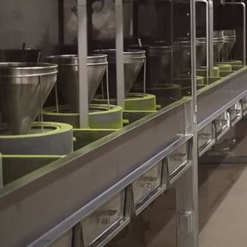 Common Tea Production Steps