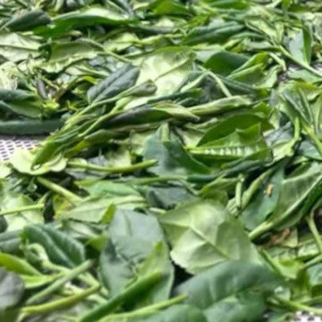 Less Well-Known Tea Production