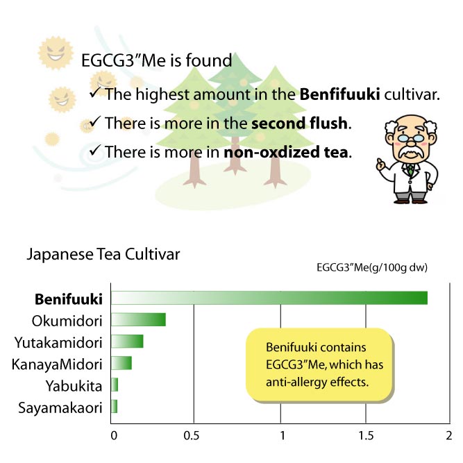 EGCGE"Me content of Chado Beifuuki Japanese Green Tea. With all that green tea flavor