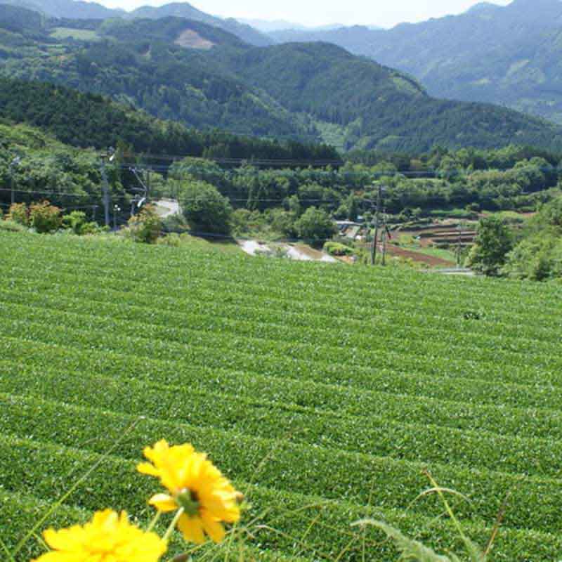 hoshinomura farm - a great place to visit if you get the chance
