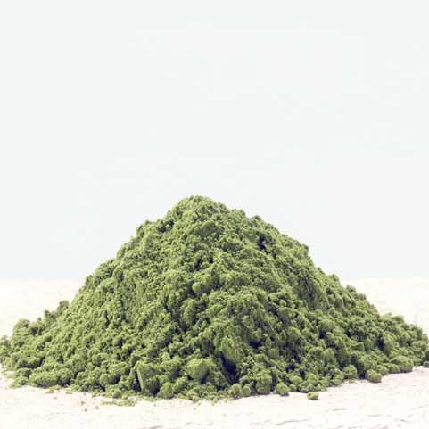 The Fabolous Green Powder - Matcha