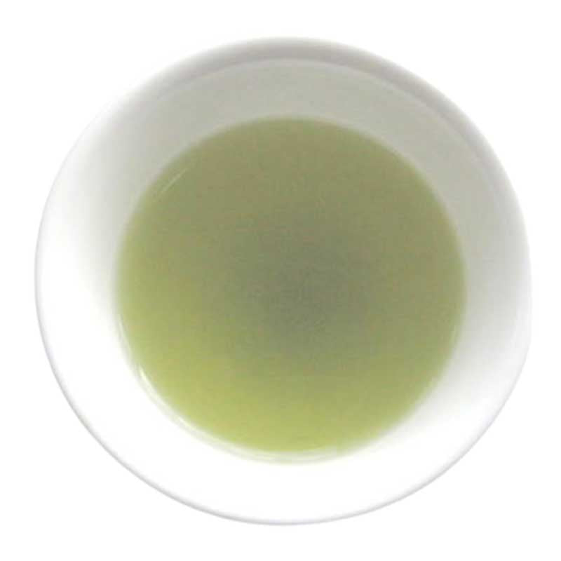 Sencha Classic in teacup. This is the first infusion, this tea can provide multiple infusions